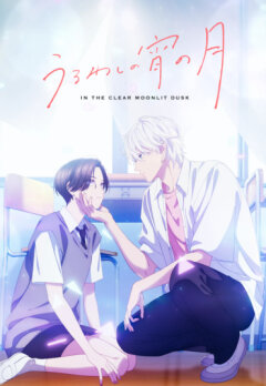 Прекрасная вечерняя луна